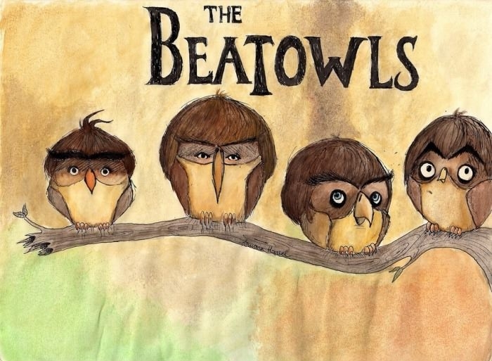 The Beatowls