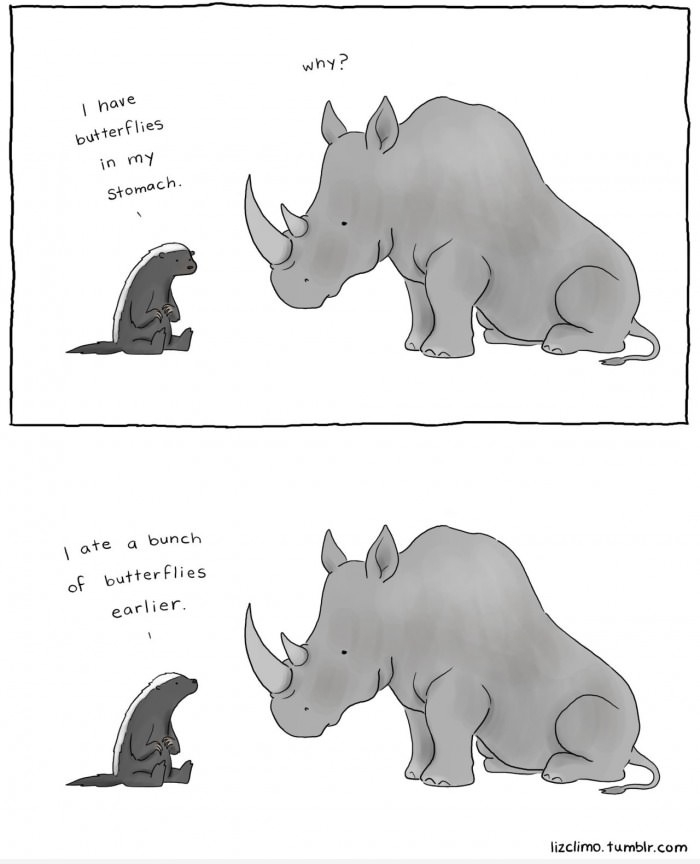 Honey badger don't care