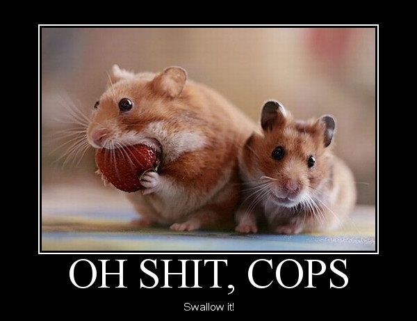 Oh sh*t, cops!