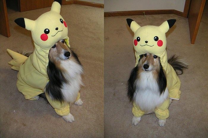 Pikachu Dog Costume