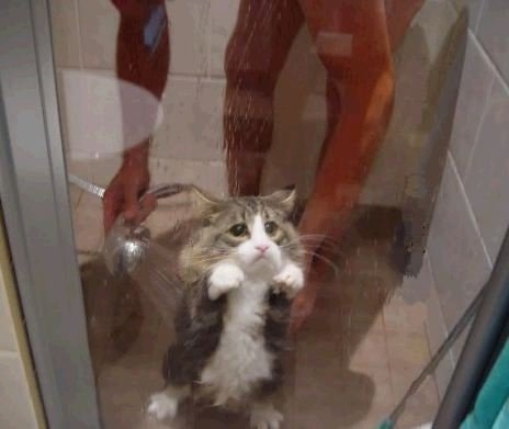 Let me out please