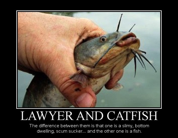 Lawyer & Catfish
