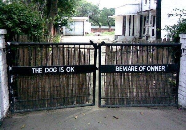 I dare you to try
