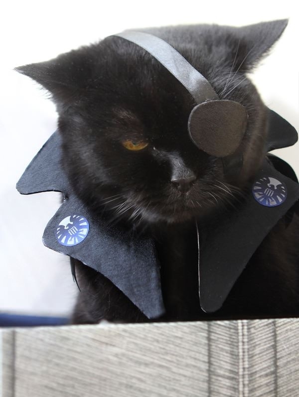 The name's Furry, Nick Furry