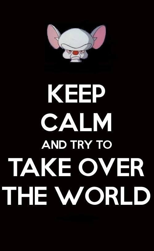 What we doing tonight?