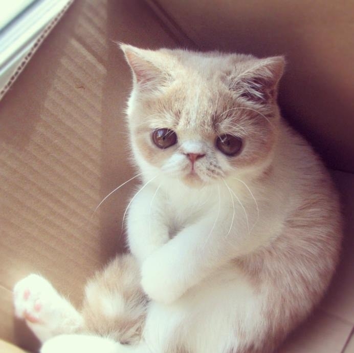 Do I have to leave the box?