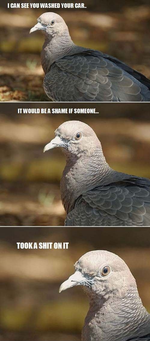 After I washed my car