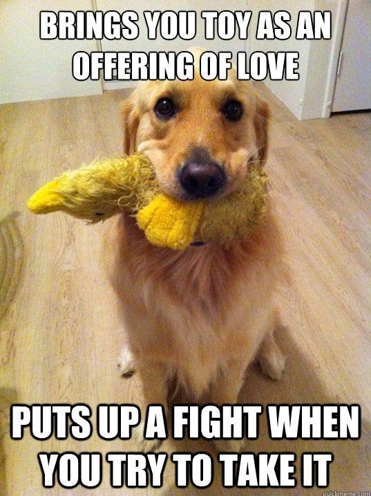 Dog's Logic
