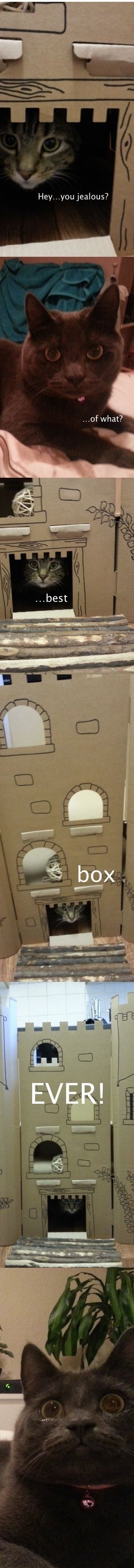 The Cat & the Castle