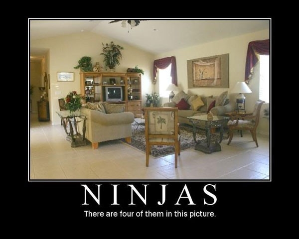 Ninjas, Can You See Them?