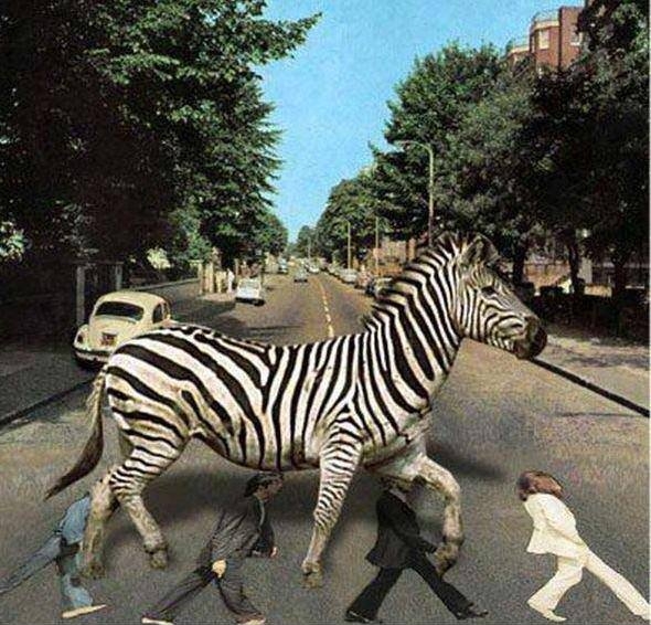 In a parallel universe