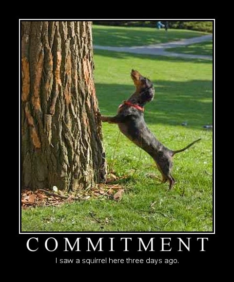Commitment