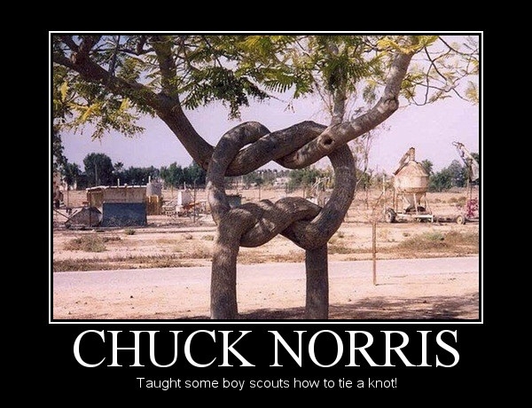 Chuck Norris