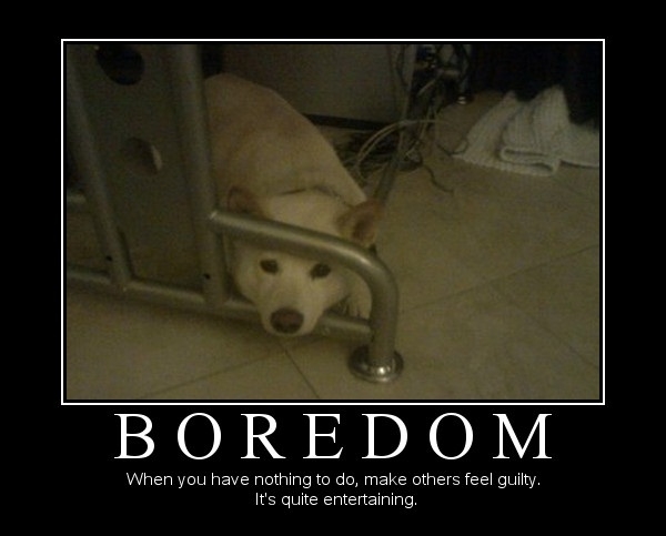 Boredom
