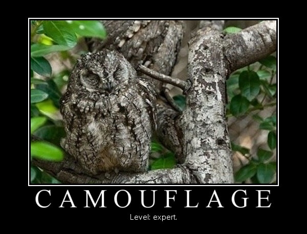 Camouflage