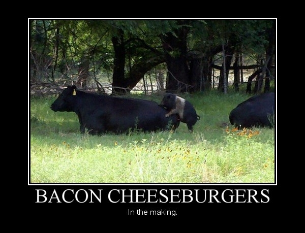 Bacon Cheeseburgers
