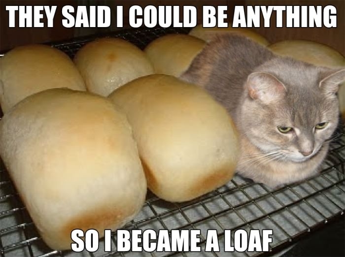 Day 80: They still think I�m a loaf