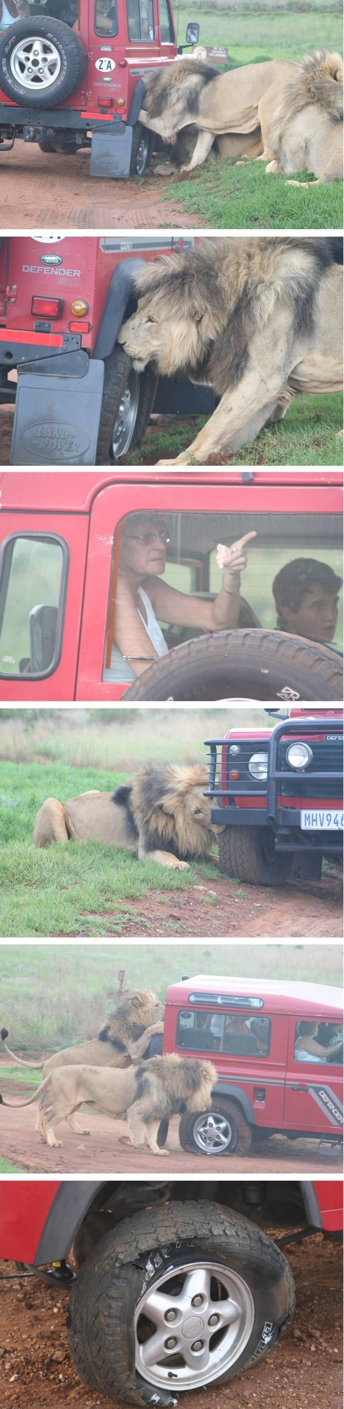 Scariest moment ever!