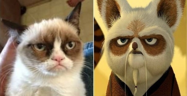 Master Shifu