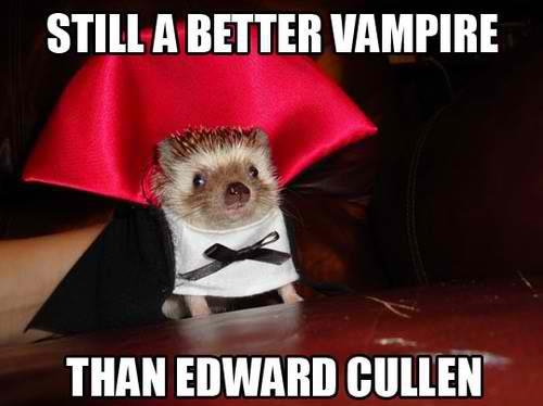 Still a better vampire