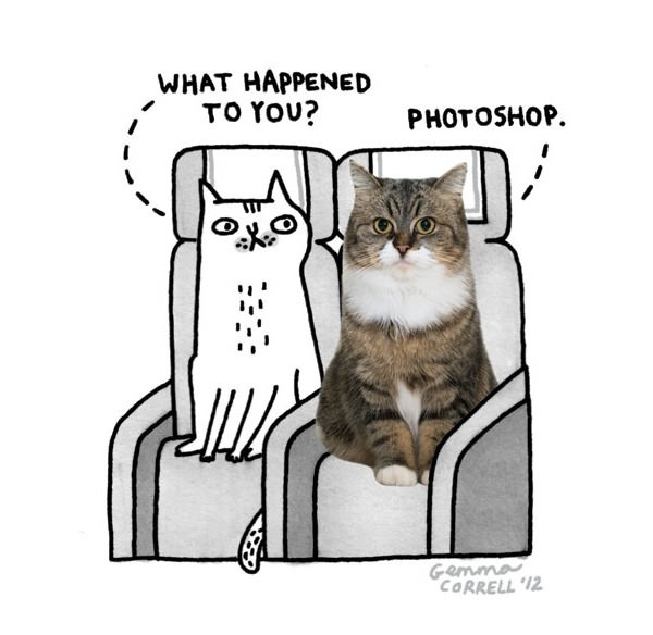 What happened to you?