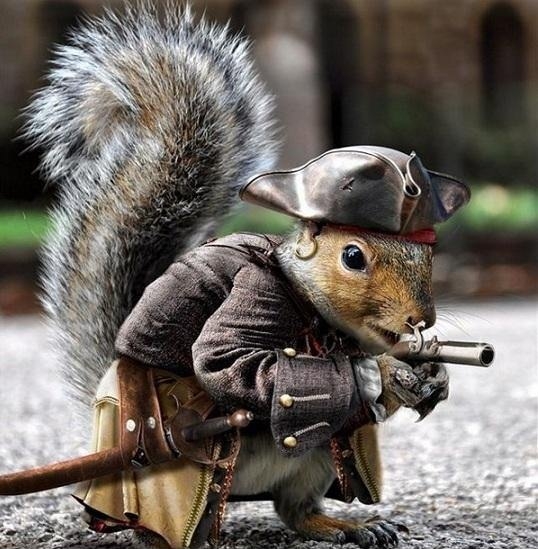 Captain Jack Squirrel