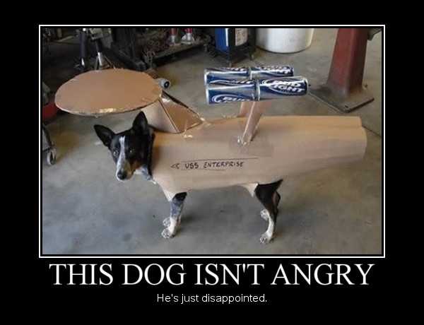 This dog isn't angry