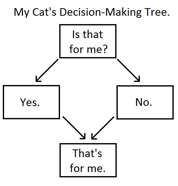 Cat's decision-making tree