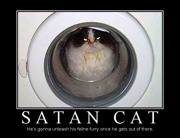 Satan Cat
