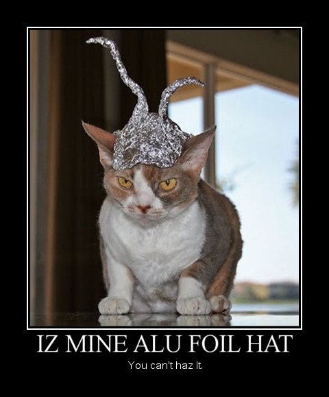 Iz Mine Alu Foil Hat