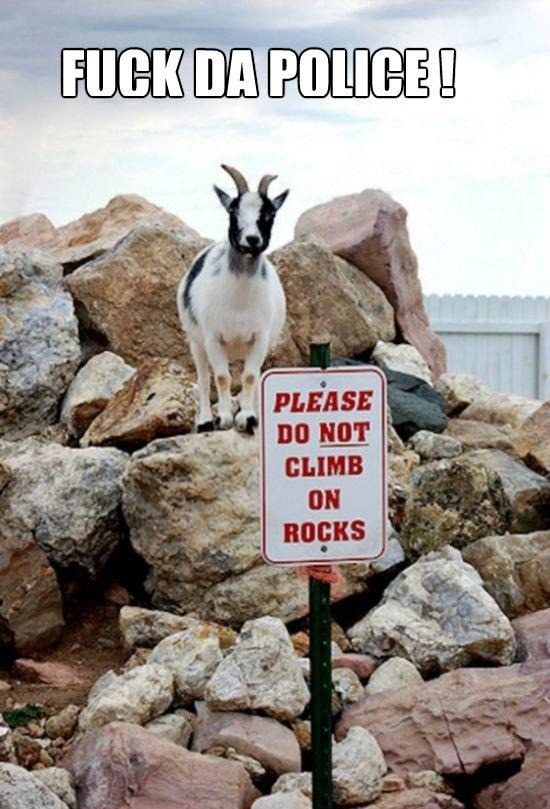 Bada$$ goat ain't afraid!