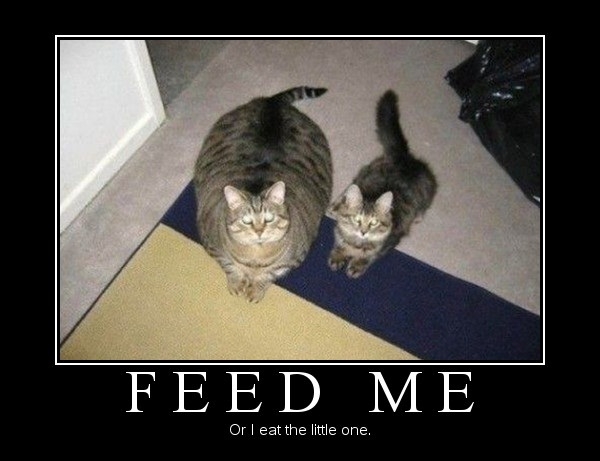 Feed me!