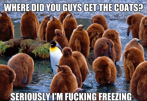 It's certainly freezing!