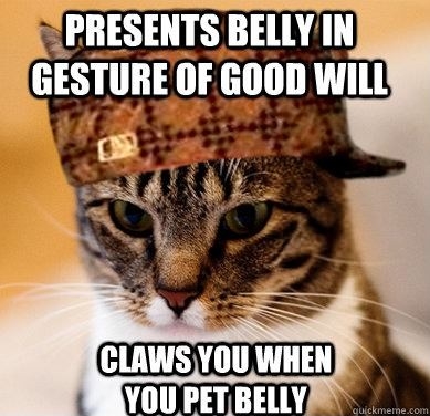 Scumbag Cat