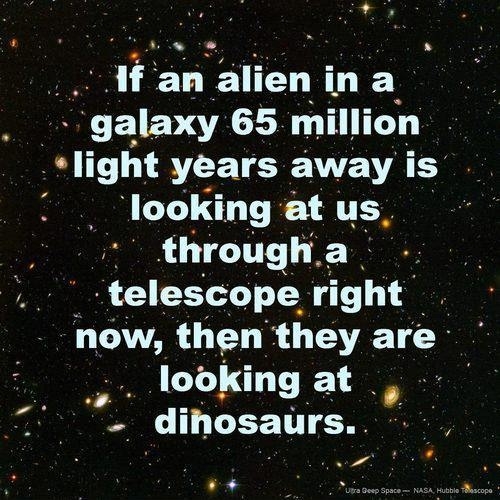We're Dinosaurs