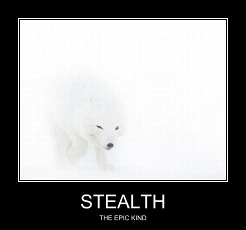 Stealth