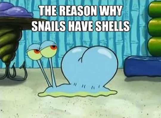 The secret of snails