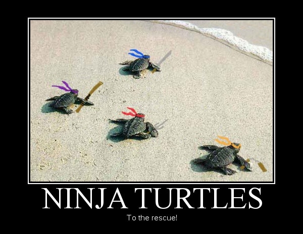 Ninja Turtles