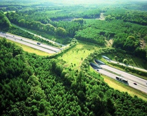 Wildlife bridge for animals