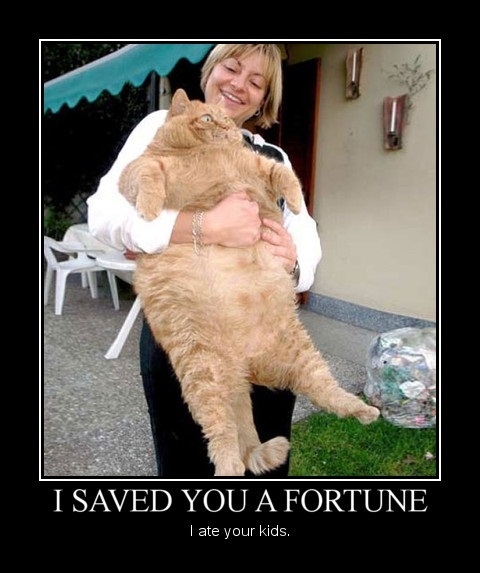 I saved you a fortune