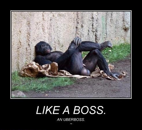 Like a  boss!