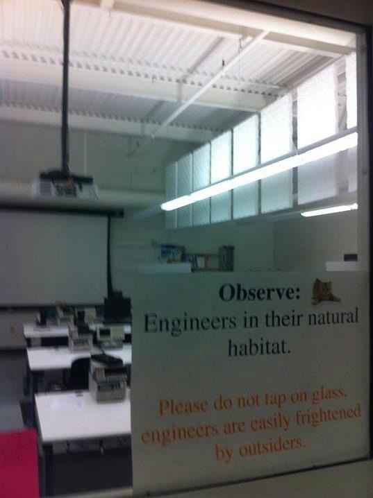 In their natural habitat