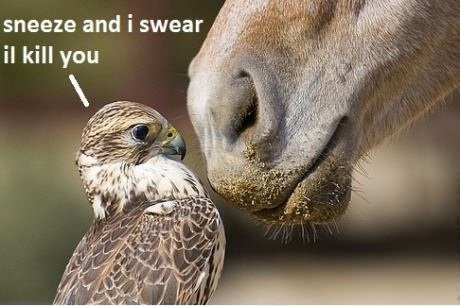 Falcon punch in 3 2 1