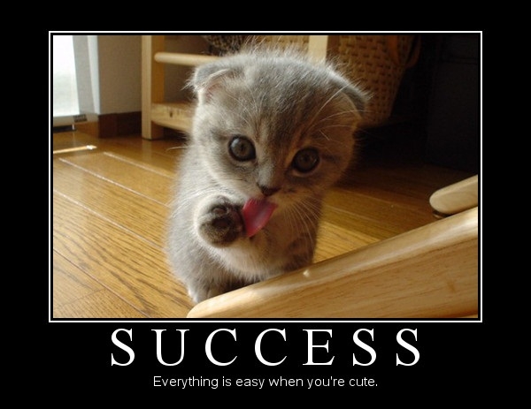 Success