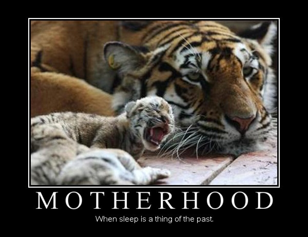 Motherhood