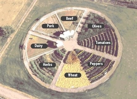 Pizza Farm