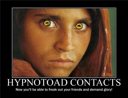 Hypnotoad Contacts