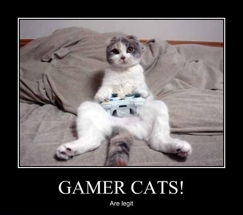 Gamer Cats