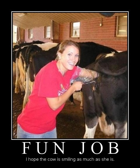 Fun Job