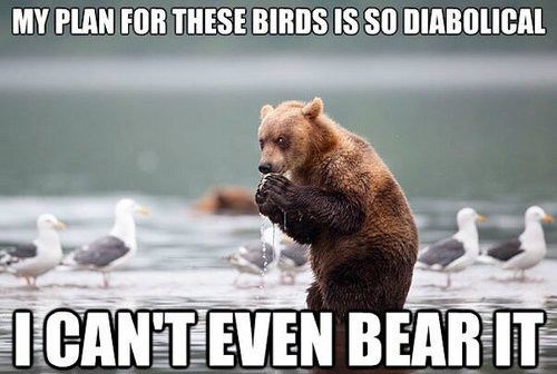 Unbearable indeed!